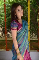 Nisha Agarwal Saree Photos